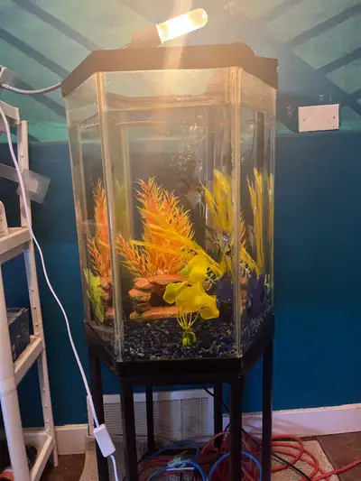 wanted: fish tanks and accessories , View more