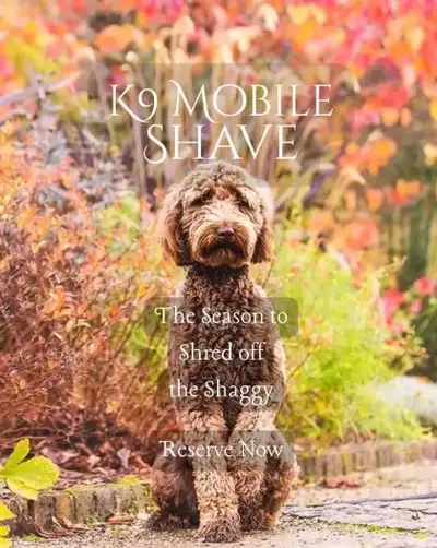 In-Home Groomer 400/89 Area, View more