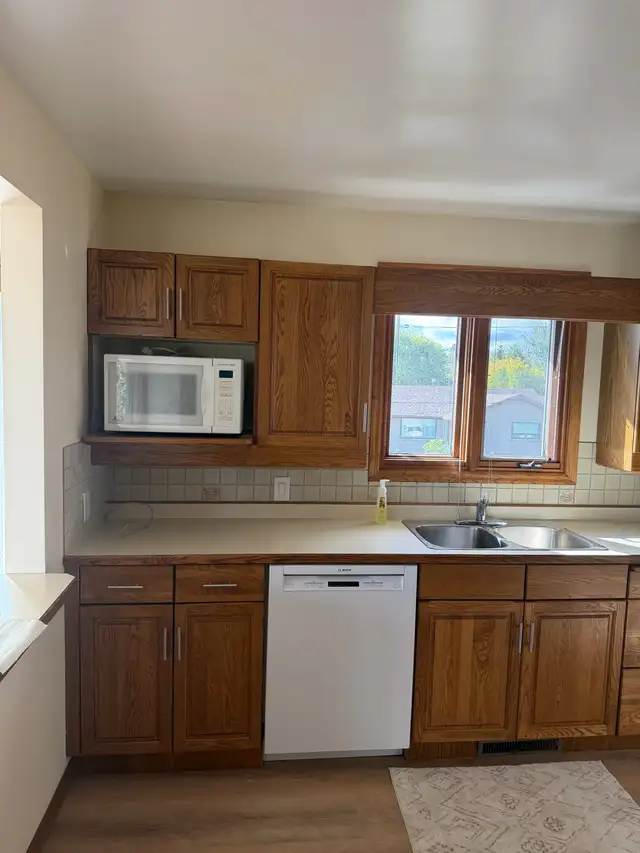 Kitchen Appliances & Cabinets 