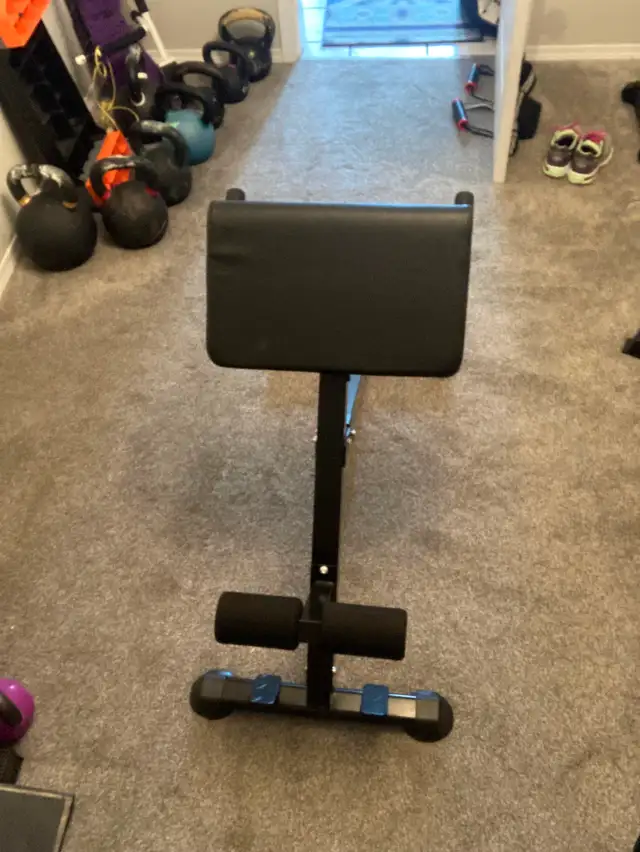 Roman Chair/ Back Extension Bench in Exercise Equipment in Penticton - Image 3
