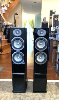 Gorgeous Energy Slim-Tower Speakers C-500B