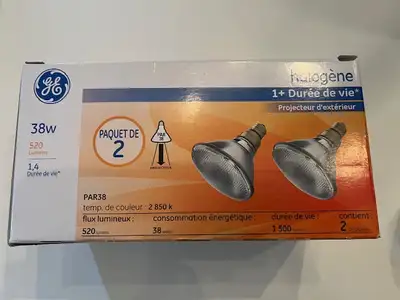 Ampoules halogènes d'extérieur 120 V, View more