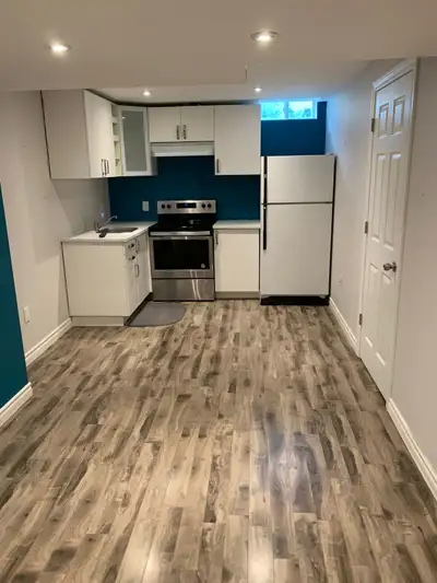 Bright and spacious 1-bedroom basement apartment with a private separate entrance, ideal for a singl...