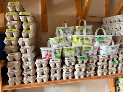 Out of the Woods Good Quality Used Golf Balls, View more