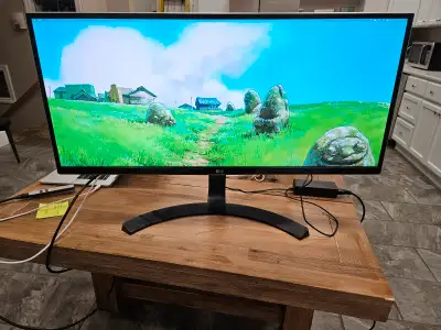 LG Ultra Wide 34" (21:9) Monitor | HDMI, TB, DP, USB, View more