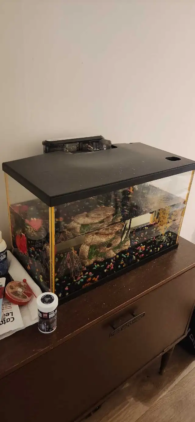 Aquarium Et accessoires  in Accessories in City of Montréal - Image 4