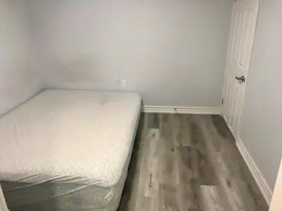 1 basement bedroom available for rent nr Scarborough Gen Hosptl