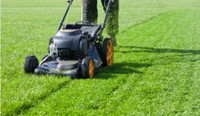 Lawn Mowing and Landscaping Services