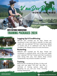 2024 Horse Training Services - Bowden, Alberta 