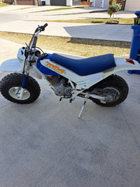 1987 Honda Fat Cat FatCat TR200 Big Wheel