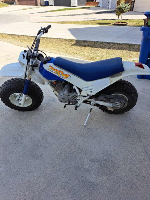 1987 Honda Fat Cat FatCat TR200 Big Wheel in Dirt Bikes & Motocross in Winnipeg