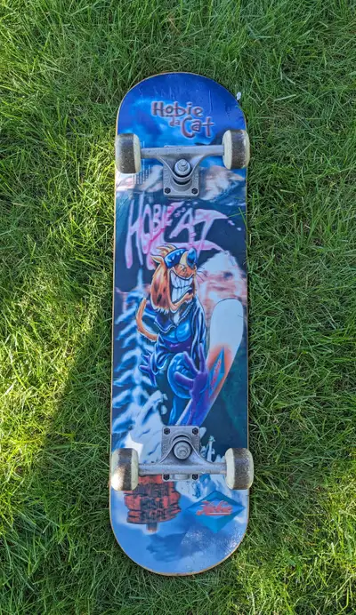 Free Kid's Skateboard, View more