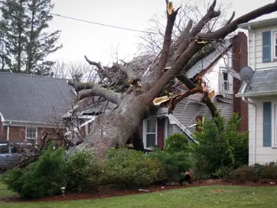 Storm Cleanup & Property Repairs – Toronto / GTA, View more