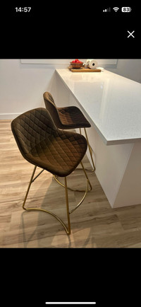 Brown Velvet Chairs (2)