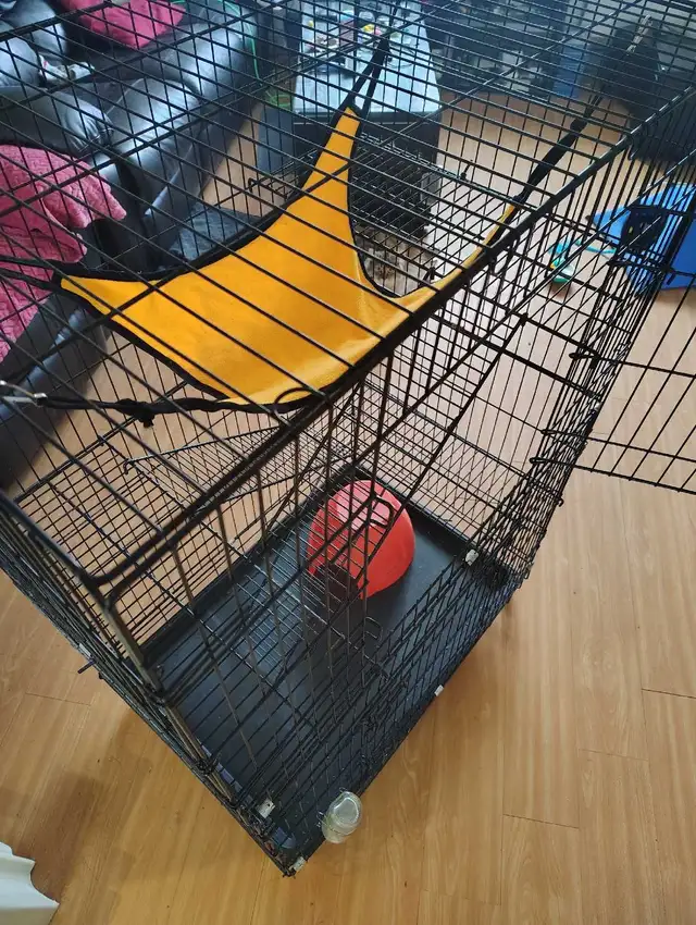 cage à rongeurs  in Other in Rimouski / Bas-St-Laurent - Image 2