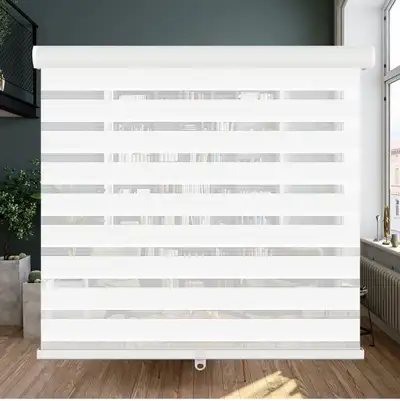 Cordless Zebra Blinds Roller Shades, 31" W x 72" H, White, View more
