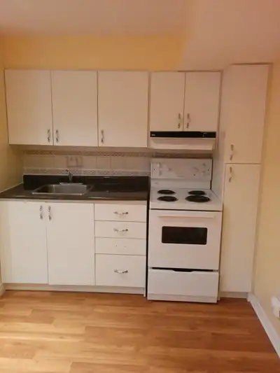 Private Basement Room + Private Washroom for Rent - Vegetarian Home (Scarborough) Looking for a clea...