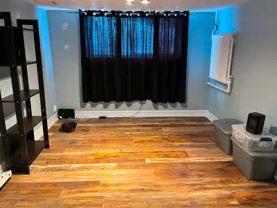 Beau 4 1/2 à louer à partir du 1er Aout - Laundry and Wifi included - À 3 mins d'Ottawa - Près du Pa...