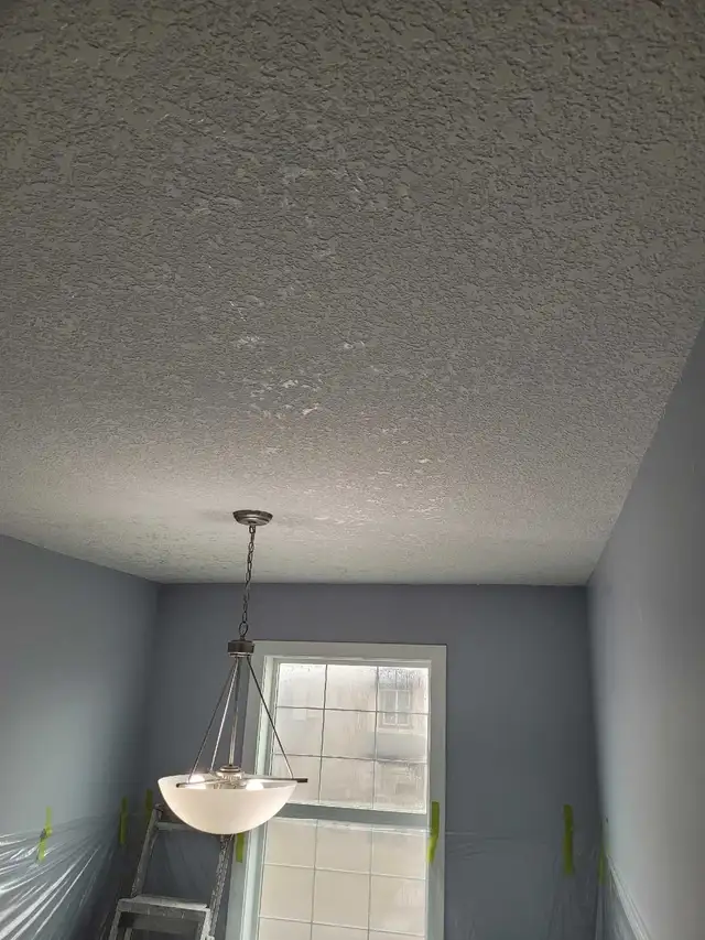 Ceiling texture ,knockdown , popcorn , and level 5460148314001254403