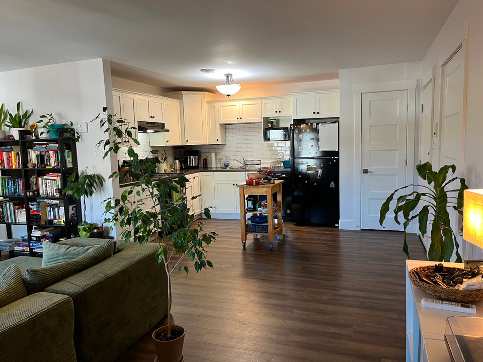 Spacious 2-Bedroom Apartment 3
