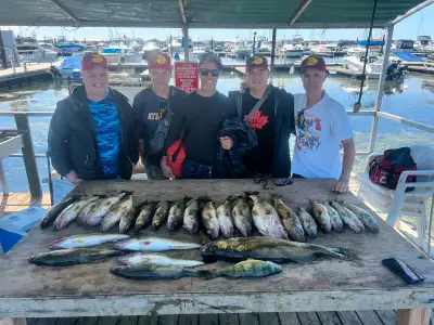 Lake Erie walleye fishing charter , View more