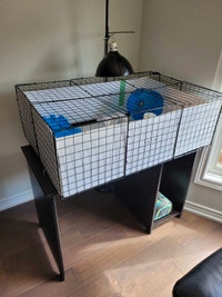 Cage and accessories for small animal