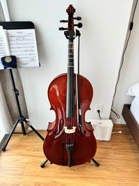 Cello 4/4 - Beginner/Intermediate