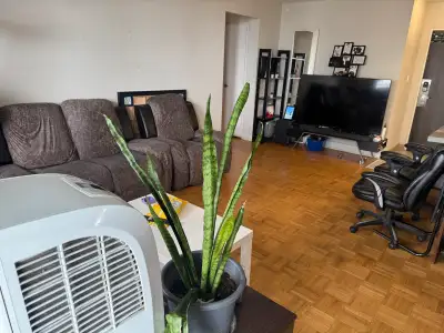 room for rent, View more