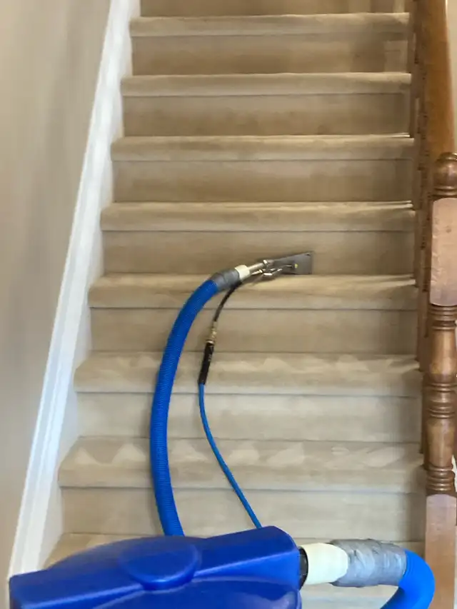 sofa carpet and chair cleaning 63006659197057124