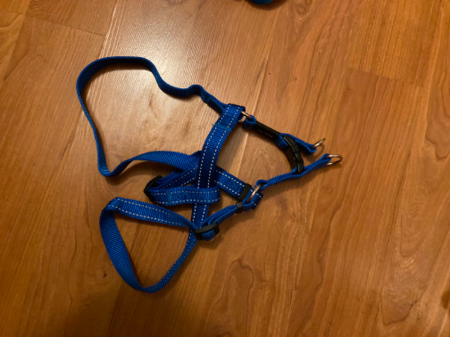 3 dog harnesses in Accessories in Edmonton - Image 3
