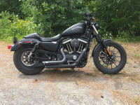 2014 Harley-Davidson Iron 883