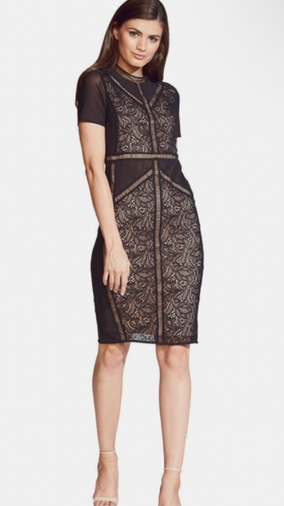 NWT Bardot lace/sheer bodycon dress size 4, View more