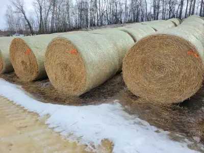 LARGE ROUND BARLEY STRAW, View more