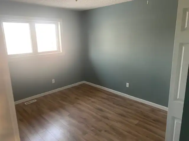 Painter+ Available505829919745658880