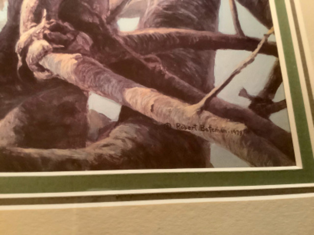 Cdn Robert Bateman’s 1979 Print “Leopard in a Sausage Tree” in Arts & Collectibles in Belleville - Image 2