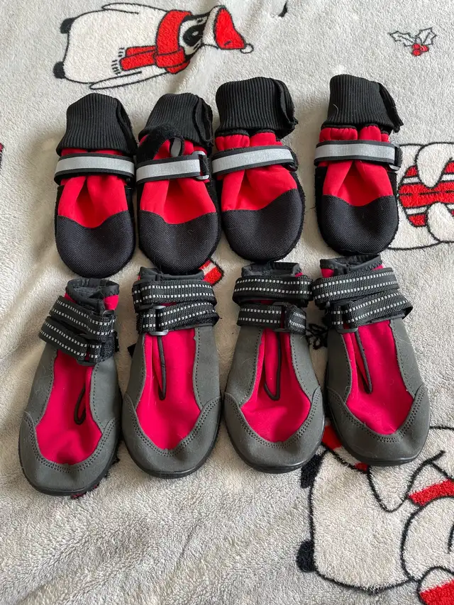2.75” Dog Boots Lot