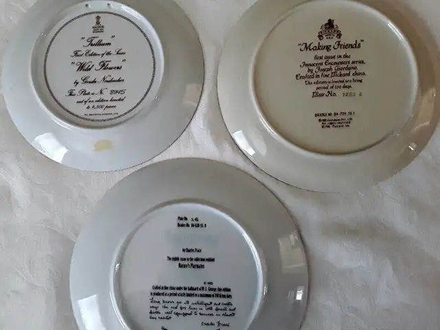 COLLECTOR PLATES in Arts & Collectibles in Hamilton - Image 3