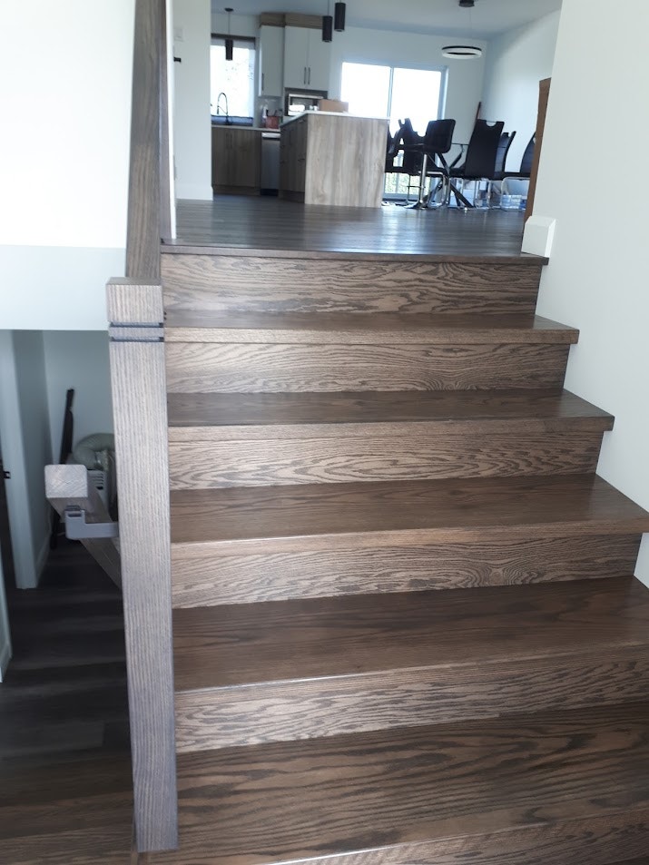 Maison avec Bachelor 3 1/2 au sous-sol (revenu) — photo 2