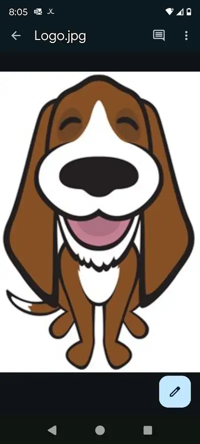 Gardienne pour chiens et chats, View more
