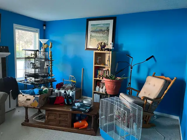 Deep cleaning/ Regular Cleaning581029300693913601