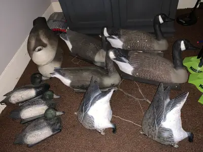 goose and duck decoys, View more