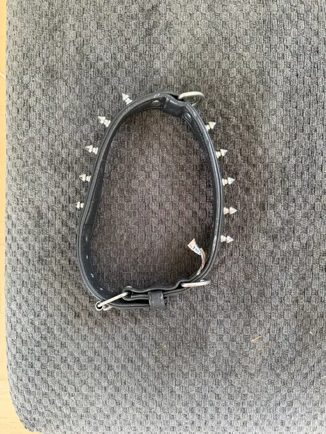 Leather dog collar  in Accessories in St. Catharines - Image 3