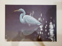 Robert Bateman “Mangrove Shadow – Common Egret” Art Print – $150
