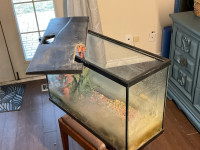 Several sizes of aquariums for sale