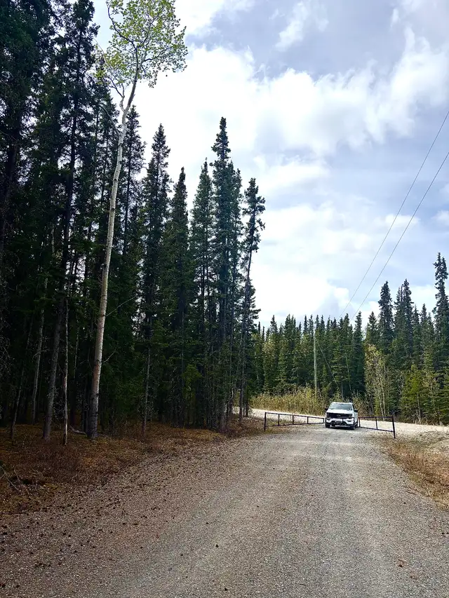 Property for Sale-Prime acreage Cousins Airstrip Whitehorse area in Land for Sale in Whitehorse - Image 4