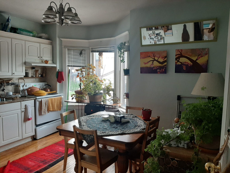 One bedroom two floors apartment available now in Toronto Long Term