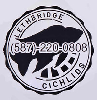 SALE!! Lethbridge Cichlids & Aquatics 