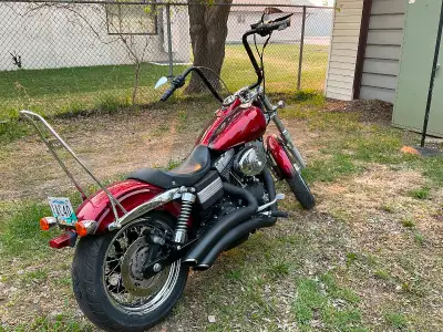 Harley Street Bob