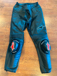 Leather Alpinestars Motorcycle Pants