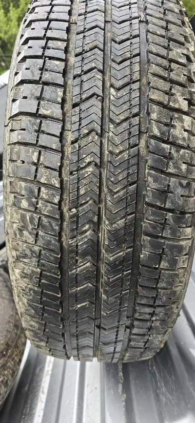 Michelin total performance 275 65 18